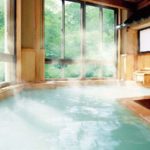 塩原温泉 やまの宿下藤屋