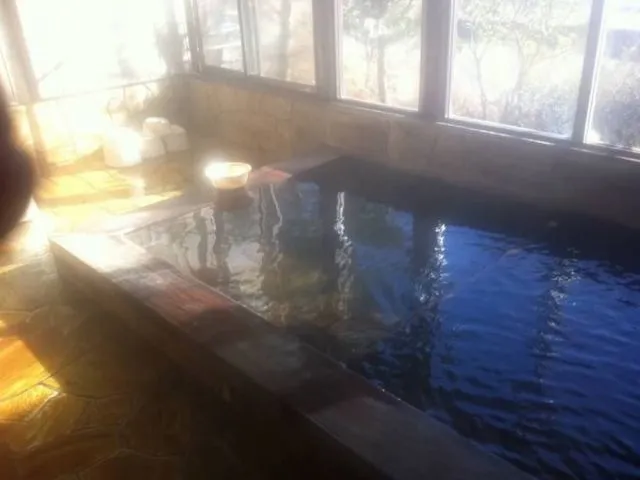 奈良田温泉「白根館」