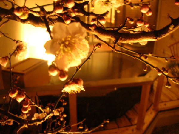 鷺の湯温泉「さぎの湯荘」