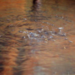 「湯之元温泉」