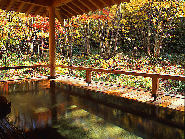 葛温泉「“温宿”かじか」